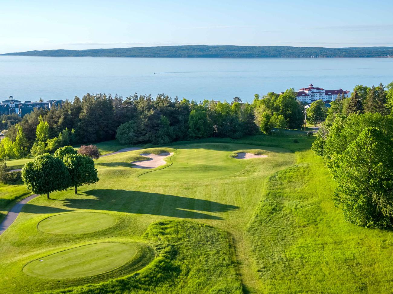 Crooked Tree 15