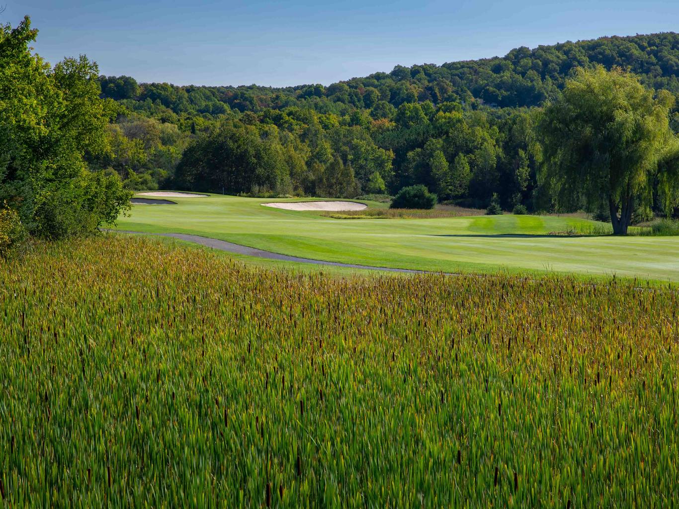 Golf Course Moor 16
