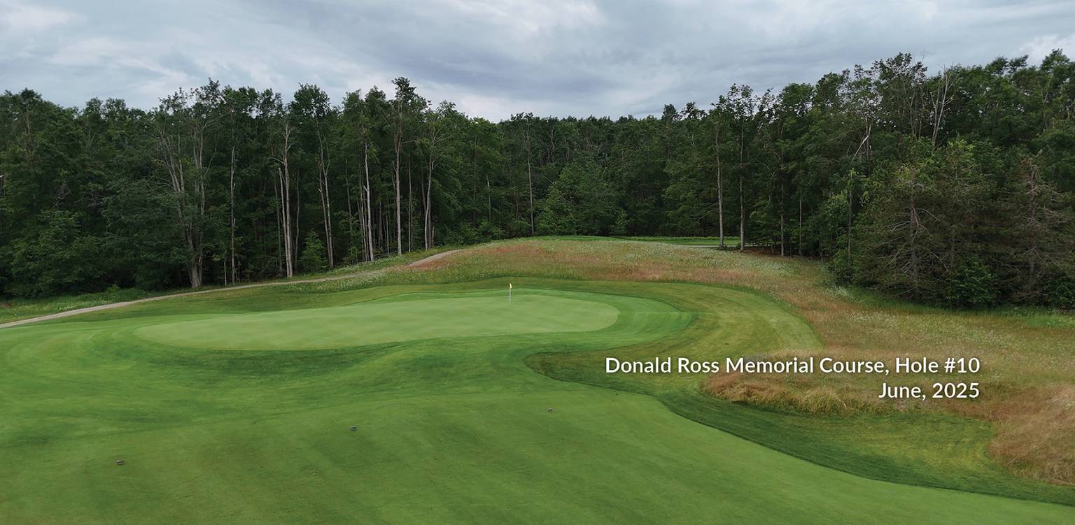 Ross 10 Green Overview