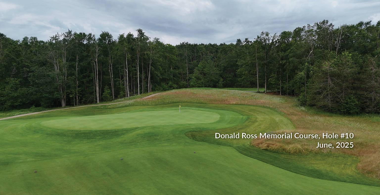 Ross 10 Green Overview