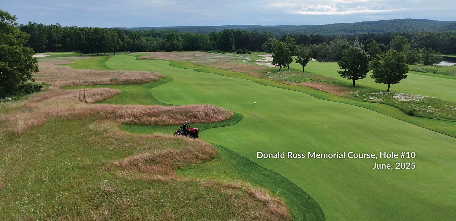 Ross 10 June Overview