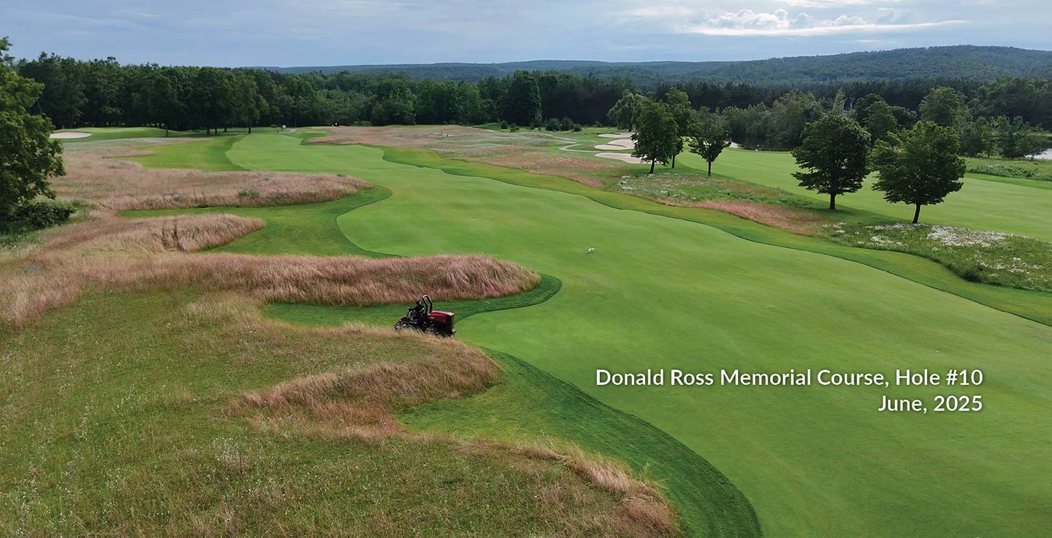 Ross 10 June Overview