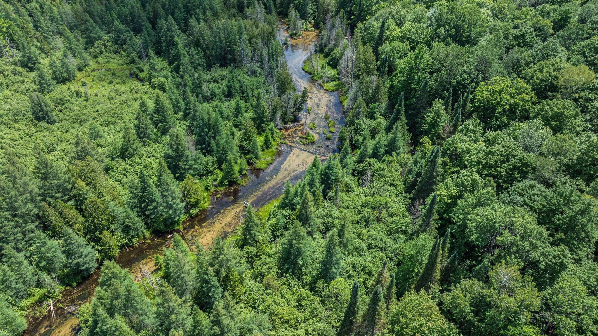 Aerial view of snowy road