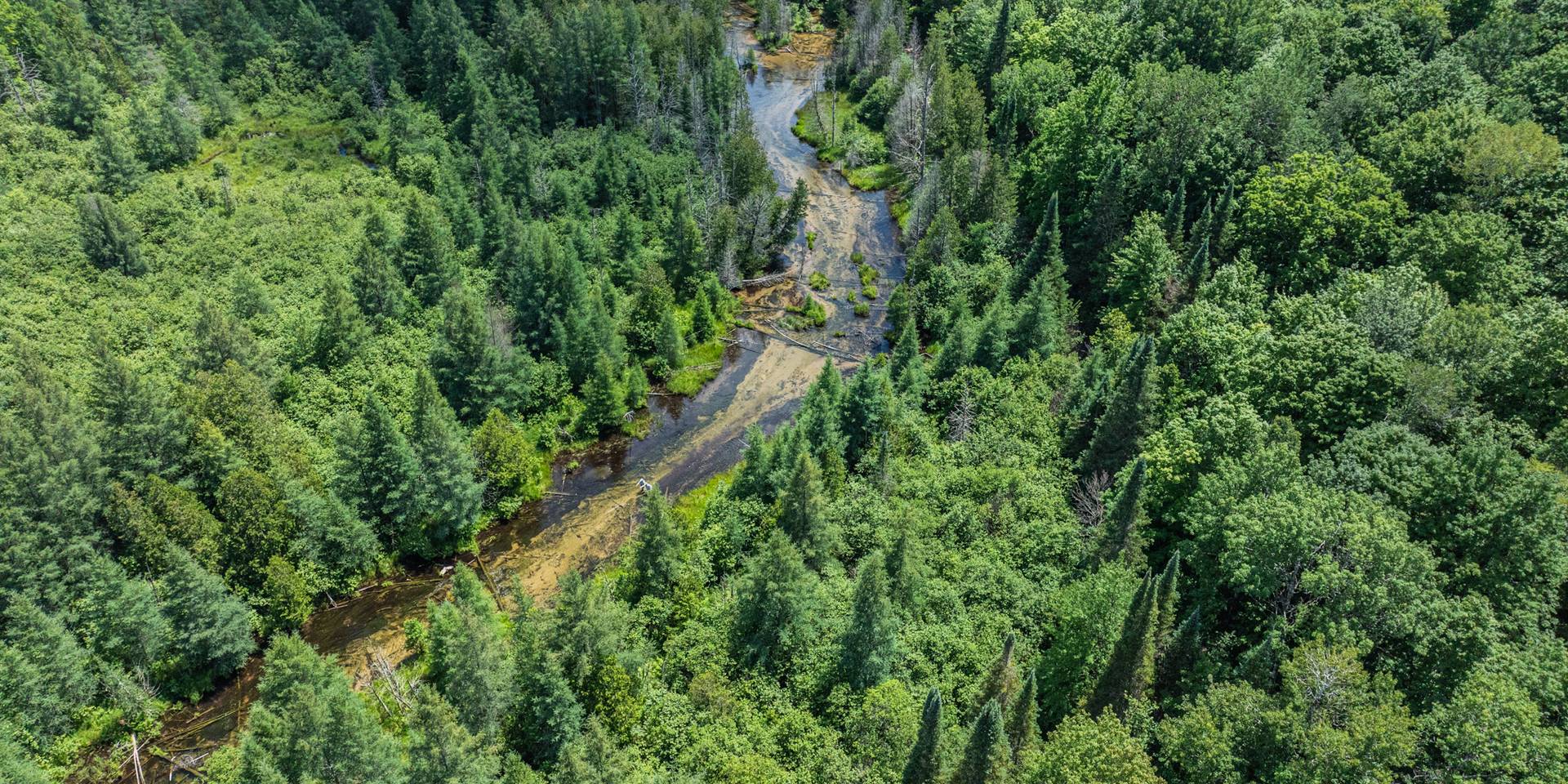 Aerial view of snowy road