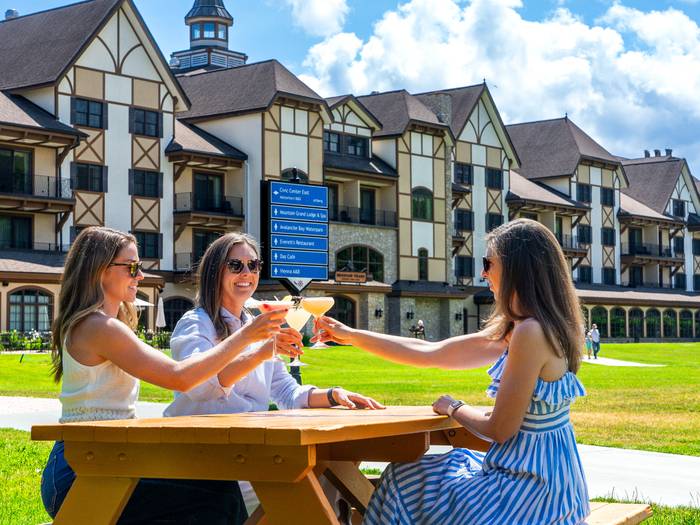 Friends giving cheers with drinks at a picnic table