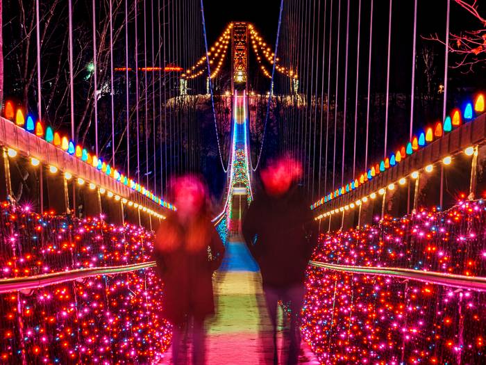 lights in the sky guests