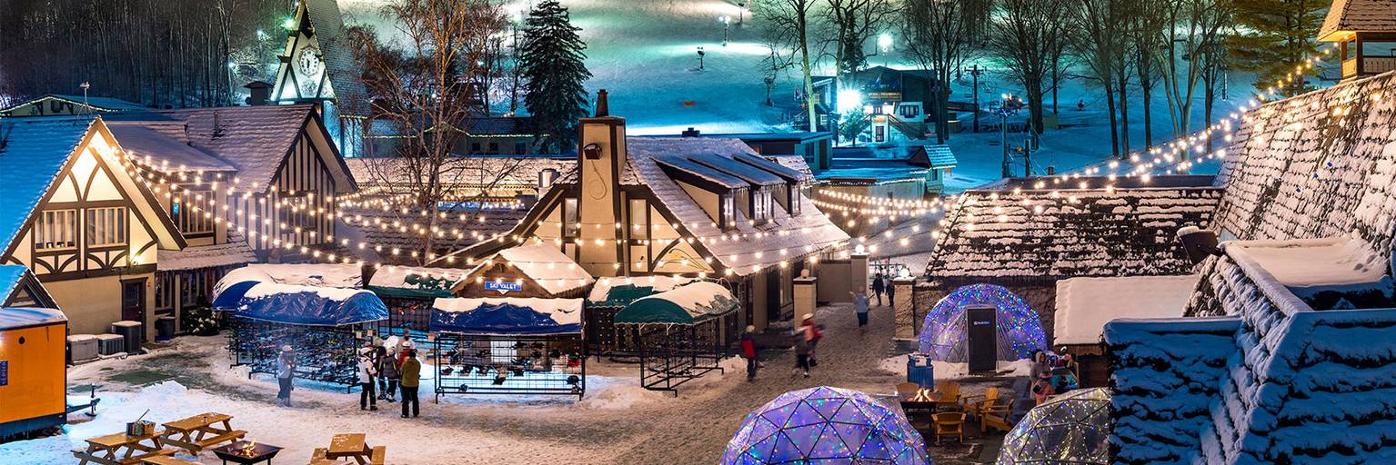 Back Forty at night in the Winter