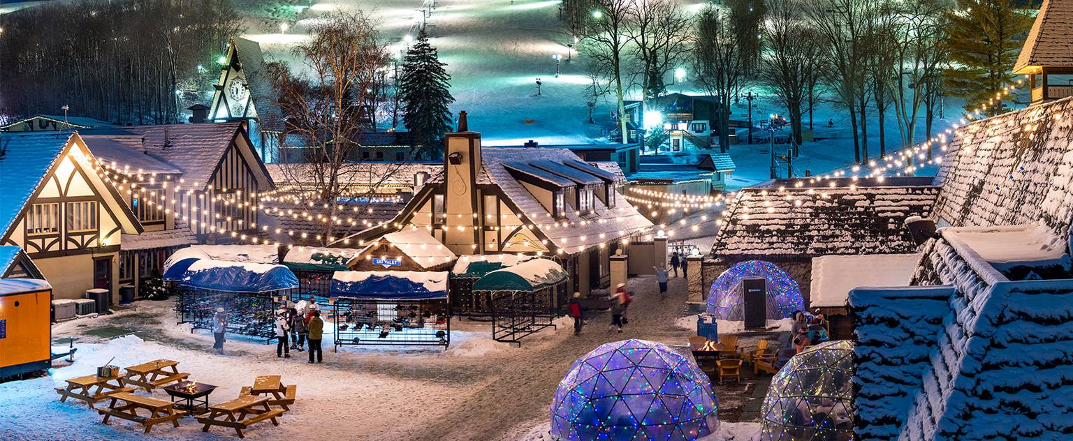 back forty lit up in winter