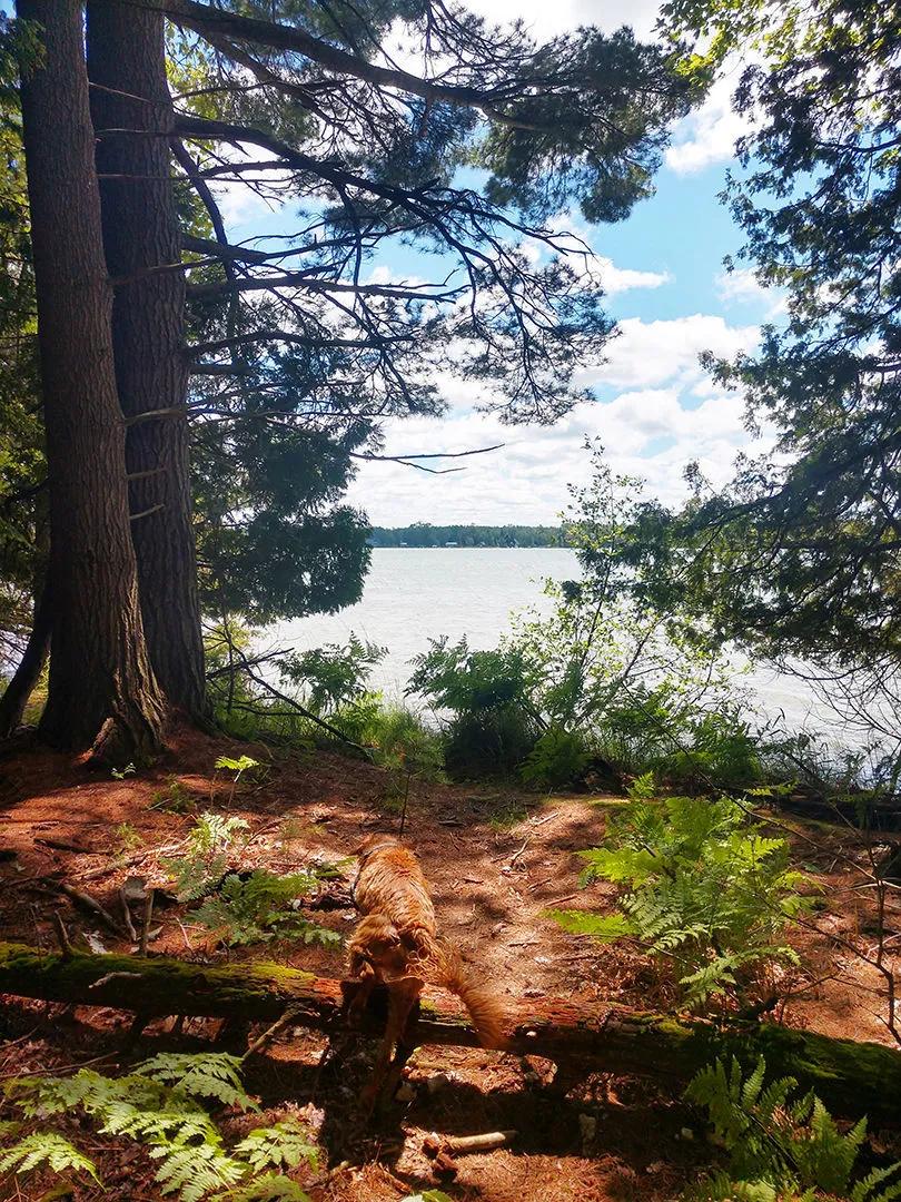 oden island preserve