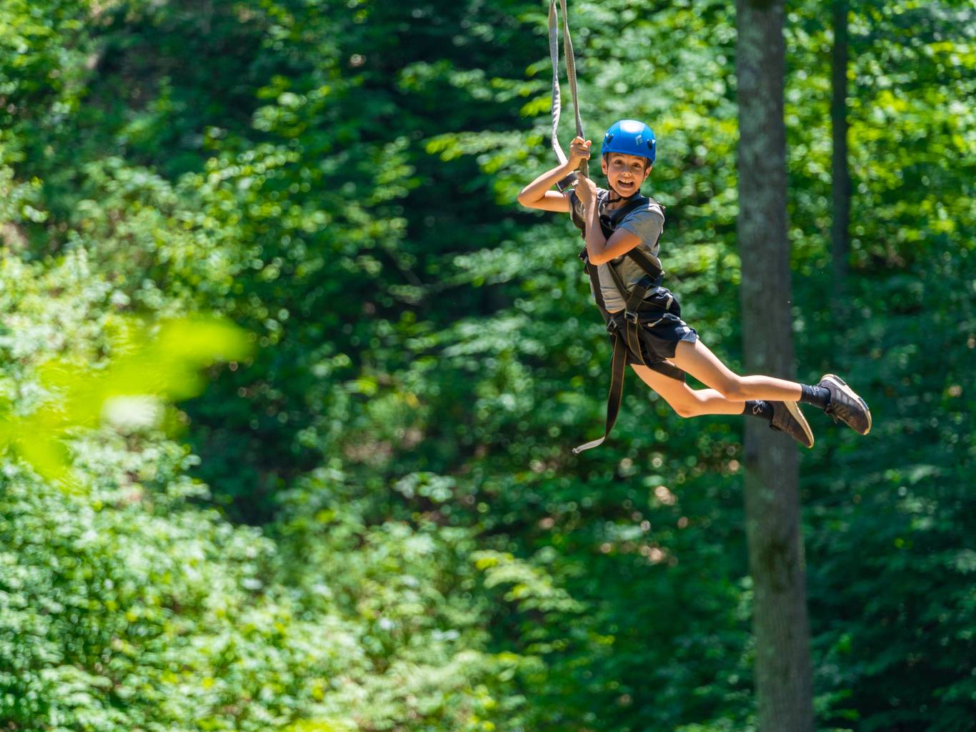 Boy ziplining in the summer