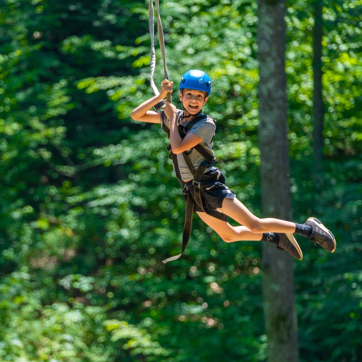 Boy ziplining in the summer