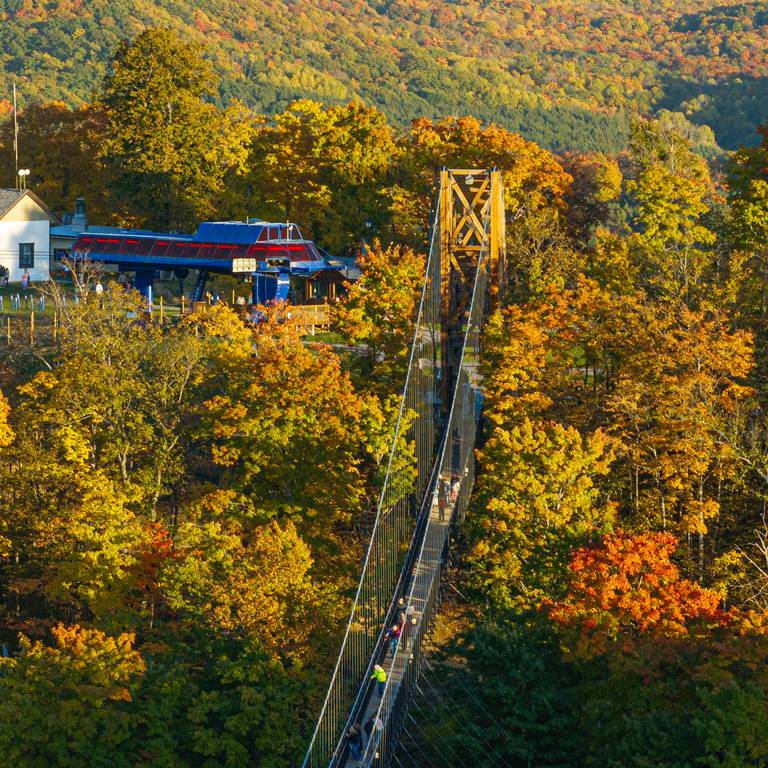 fall colors at skybridge michigan