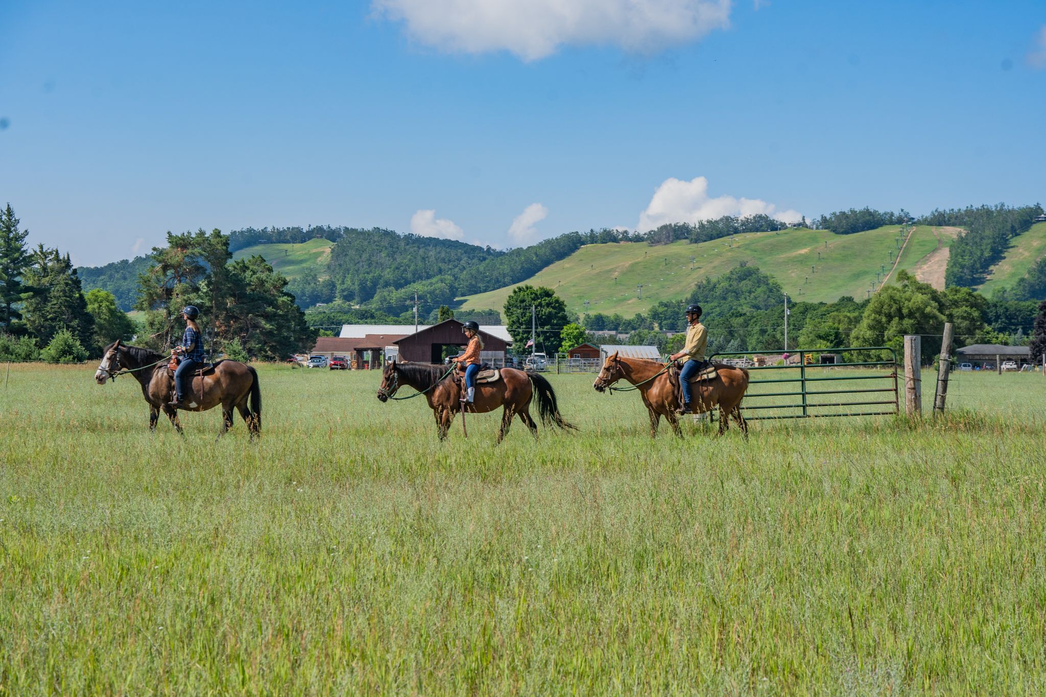 group of riders on horses