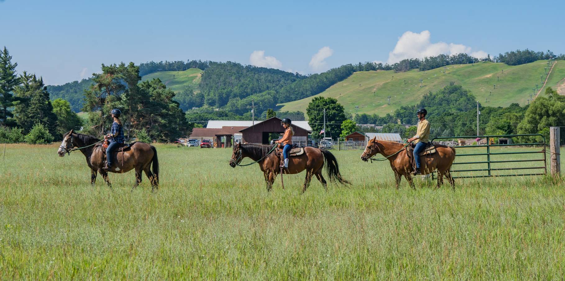 group of riders on horses