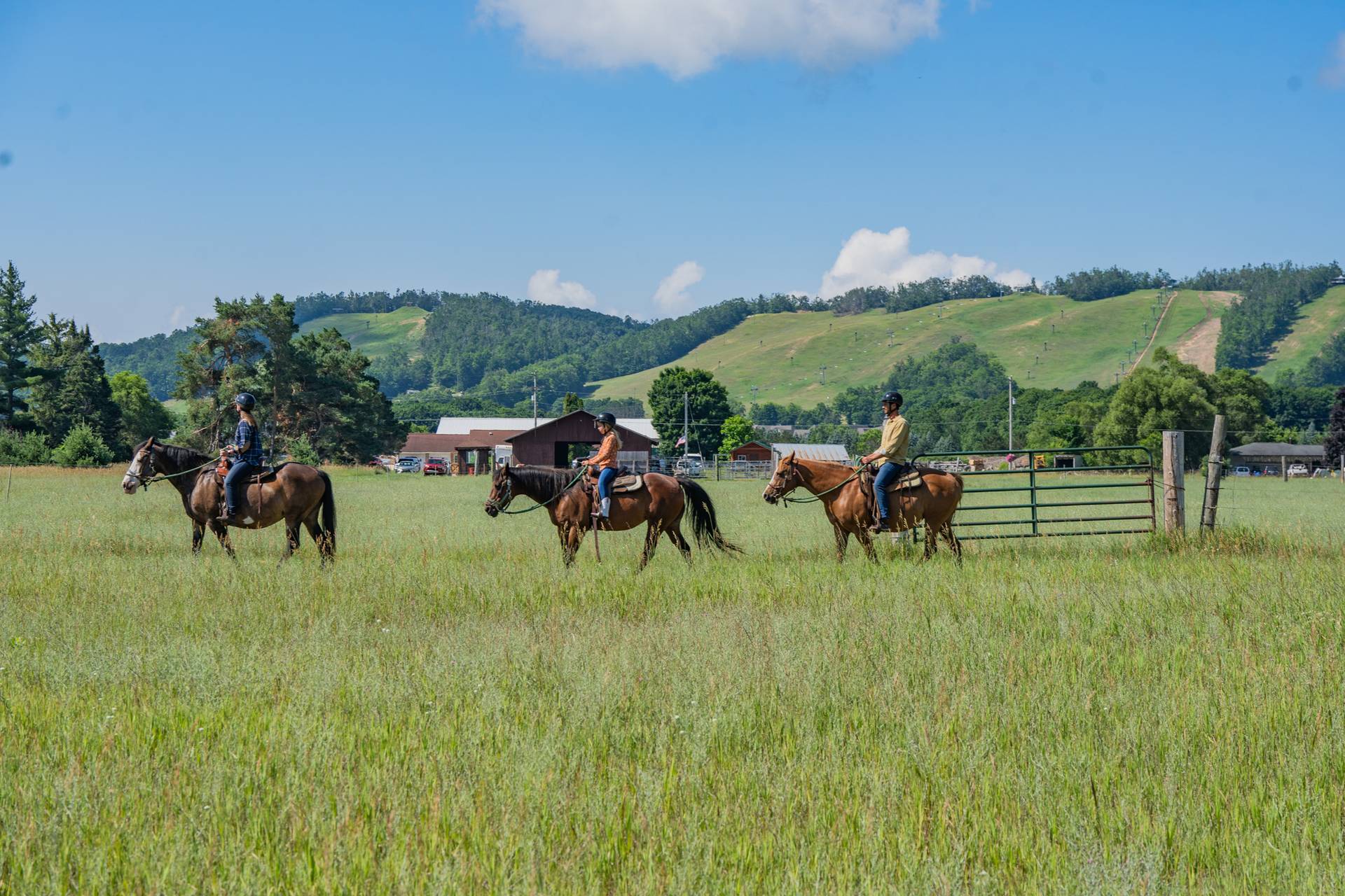 guests riding horses at boyne mountain