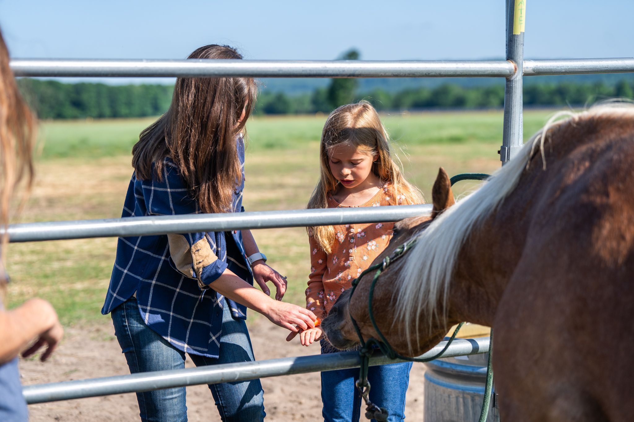 mom and daughter feeding a horse