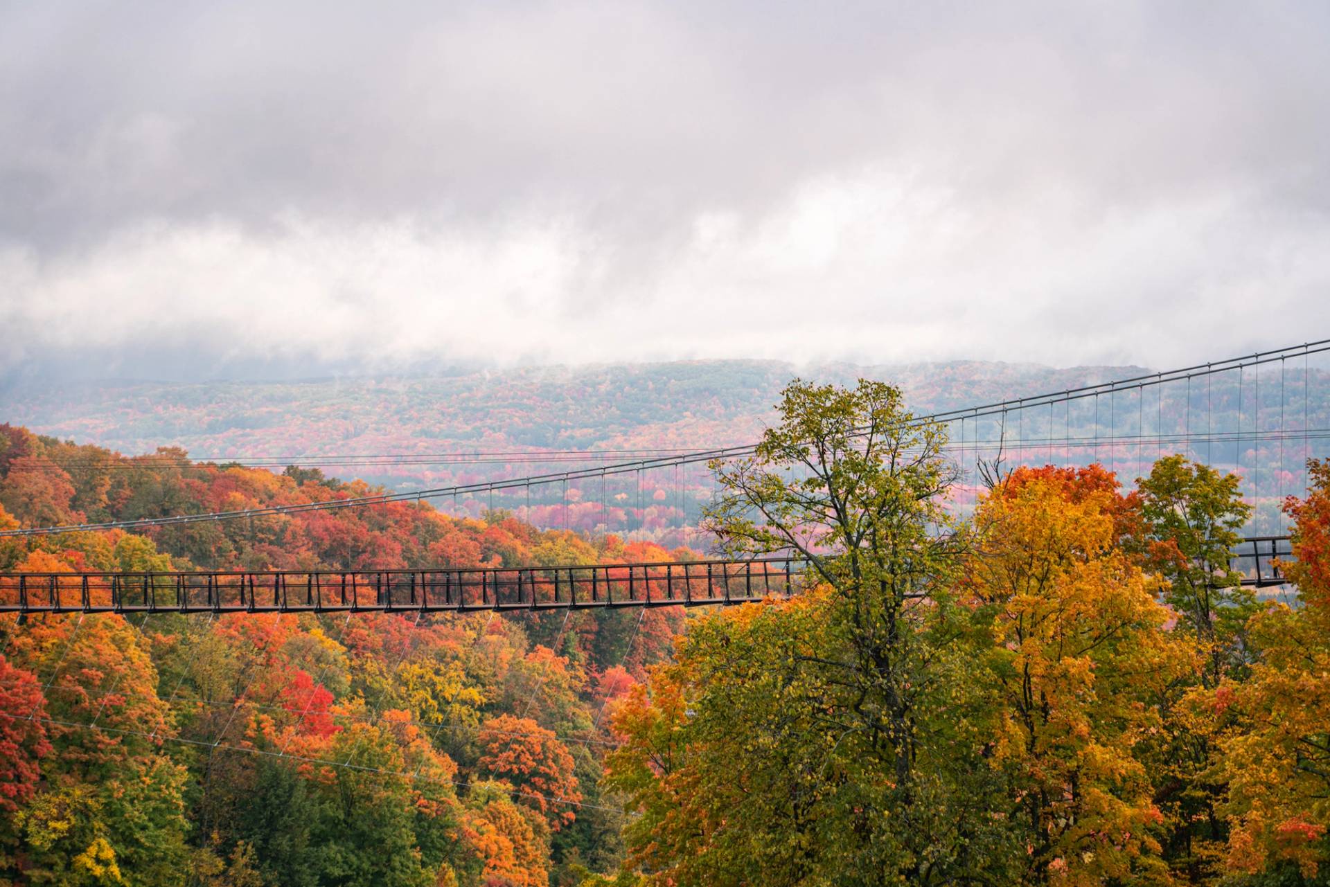 Peak Fall Colors through the clouds at SkyBridge Michigan