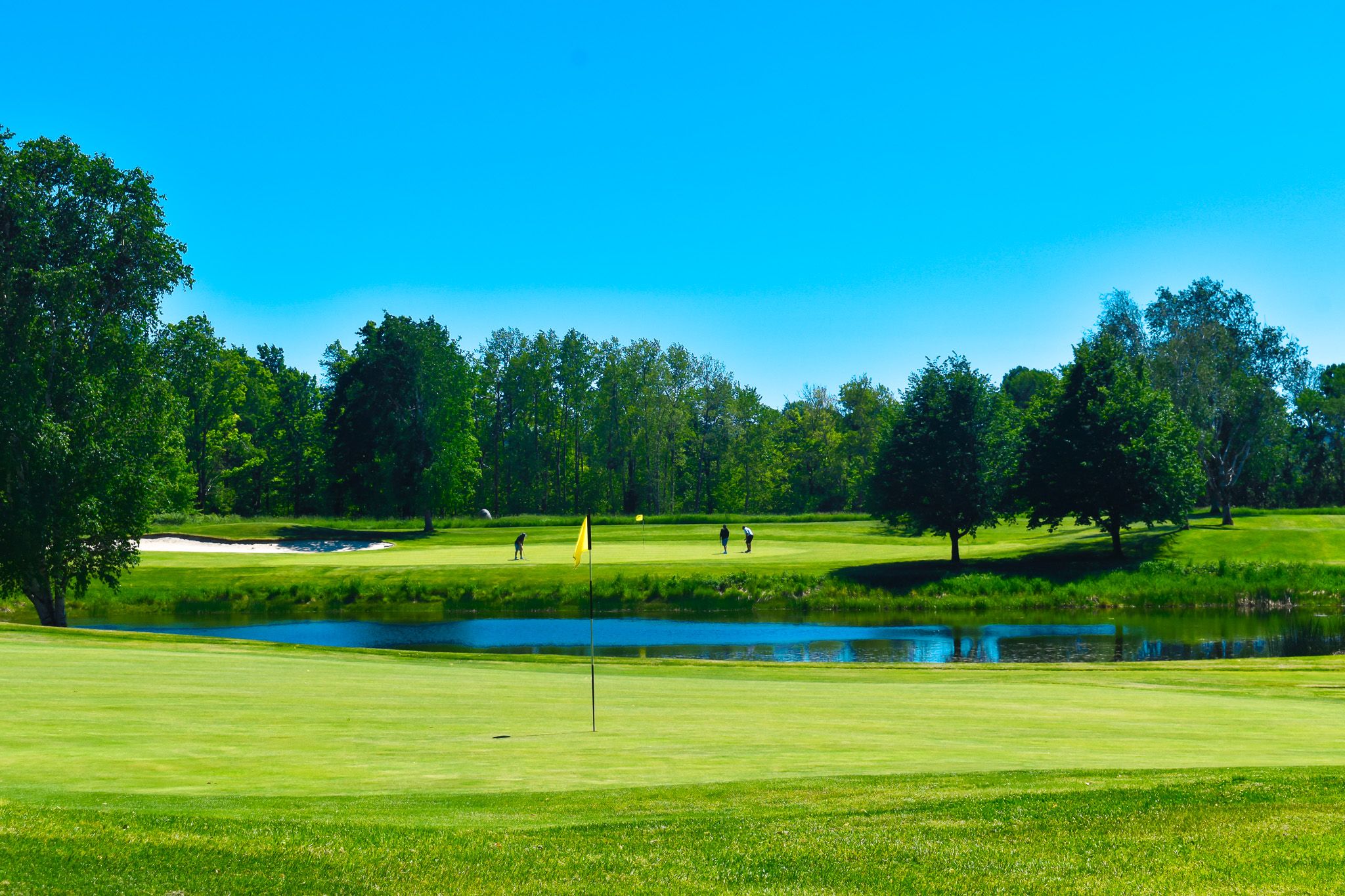golfers putting on alpine course