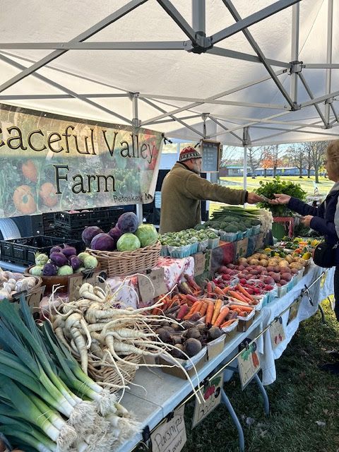 boyne city farmers market