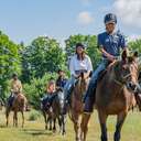 Muliple horses and people on trail ride