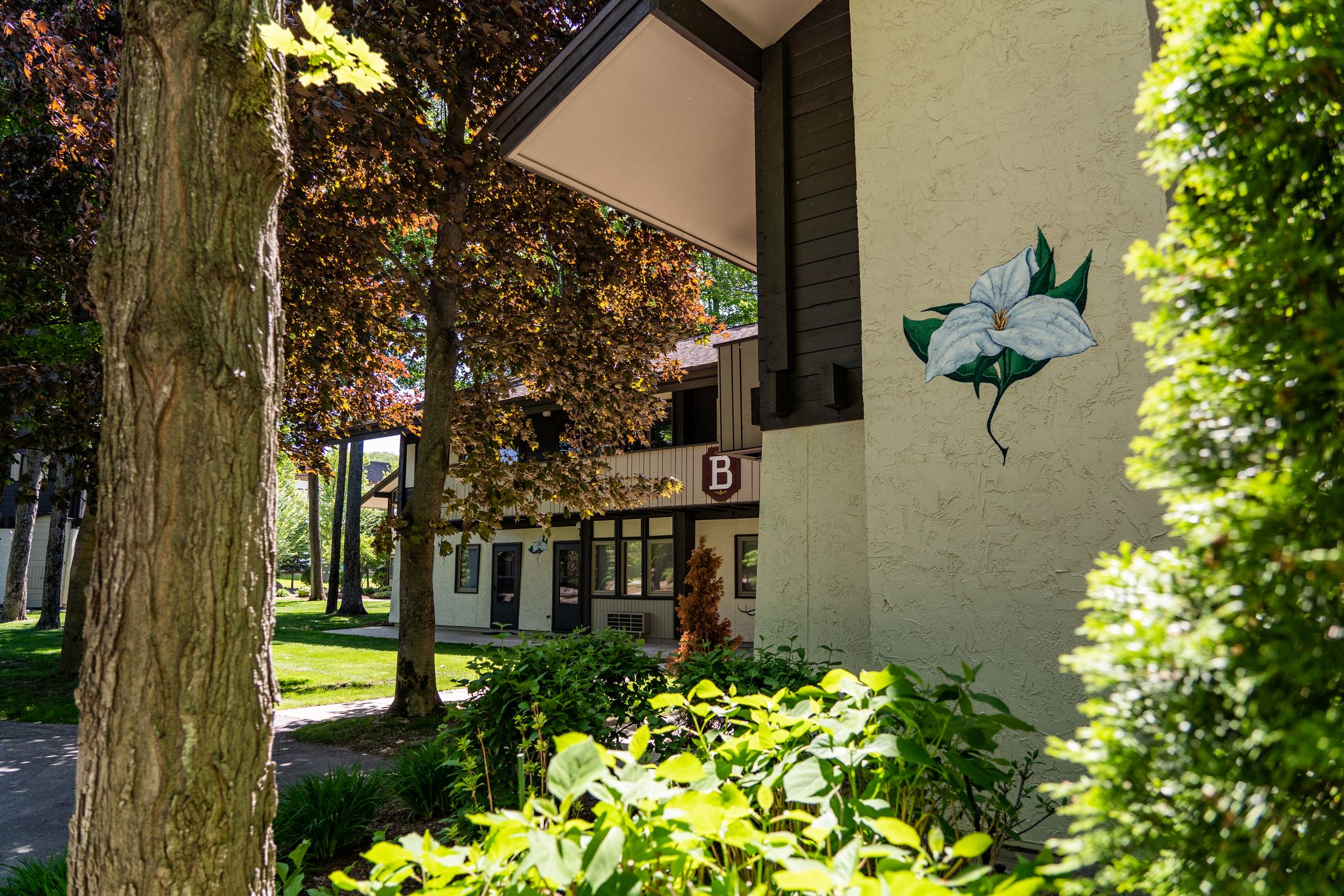 Outside view Mountain Villas