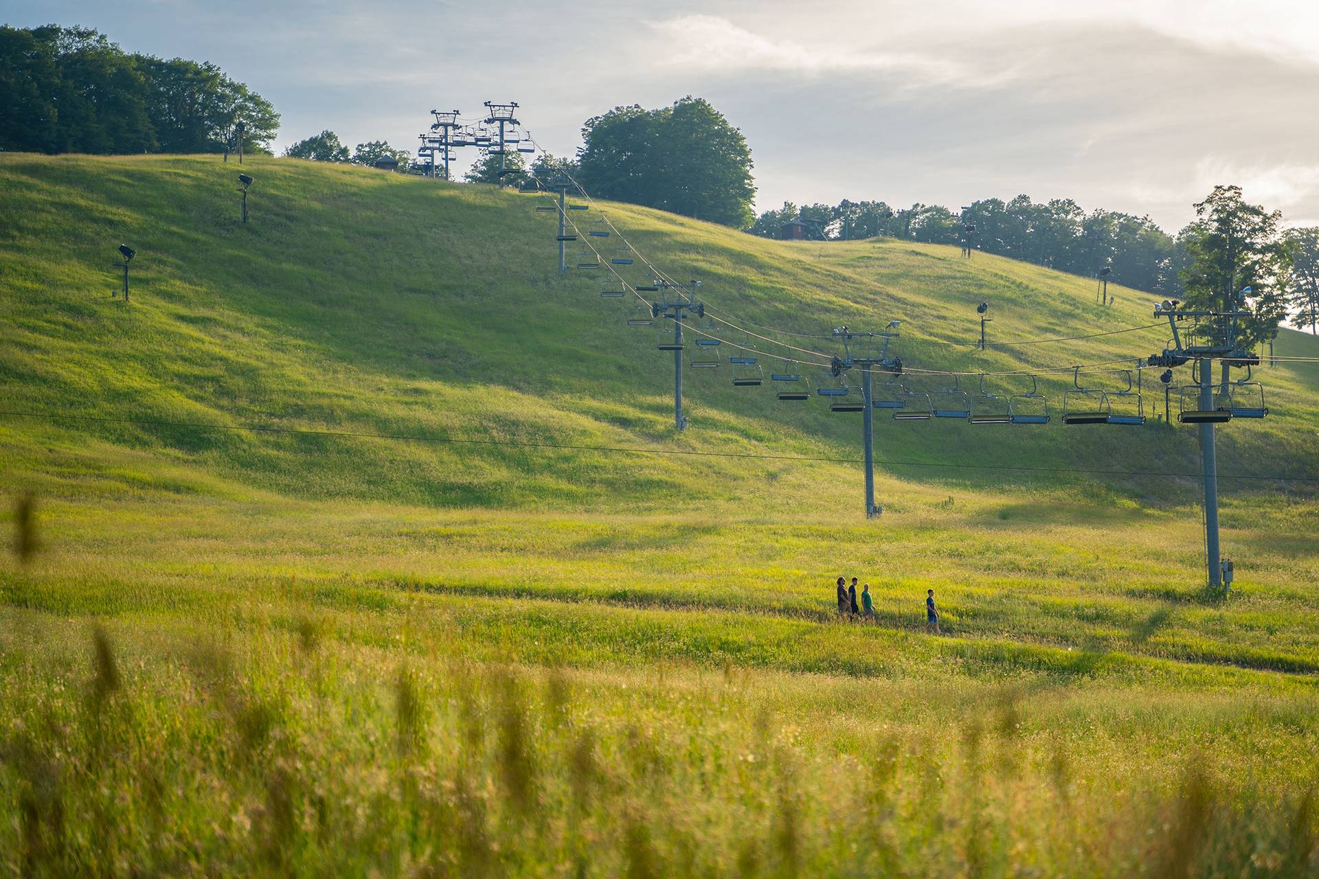 Summer view of the grass on theski hill.