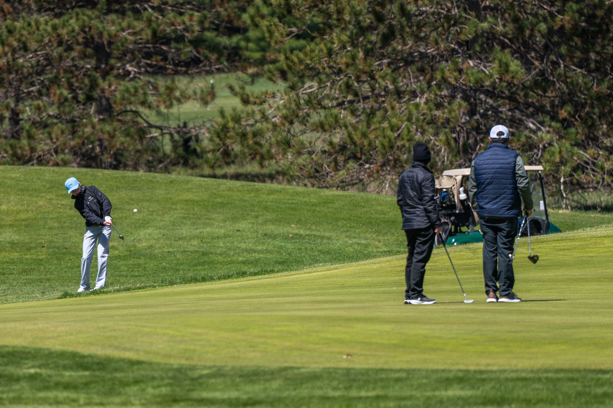 young golfer at hemlock open