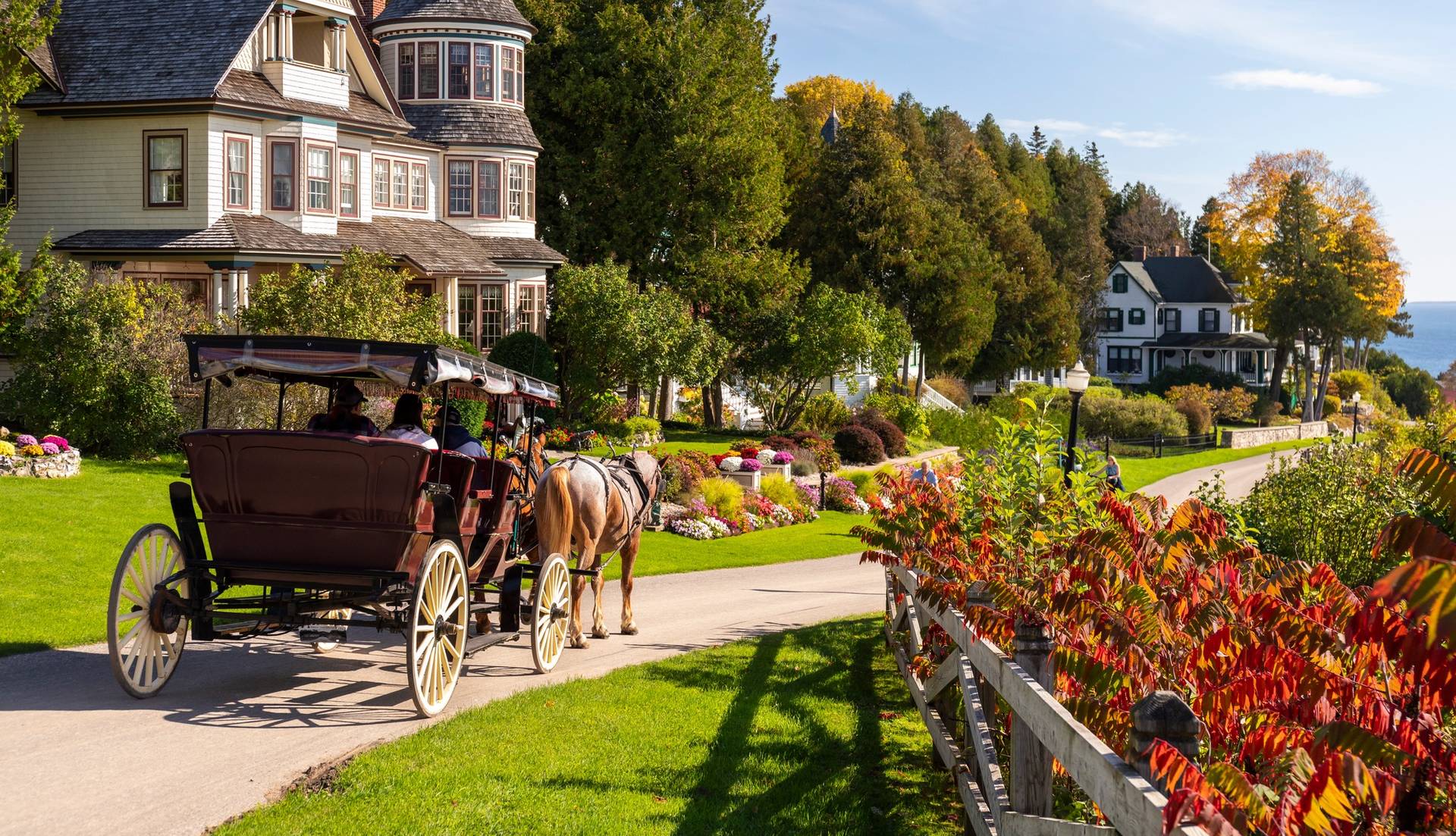 Carriage with horses on Mackinac Island.