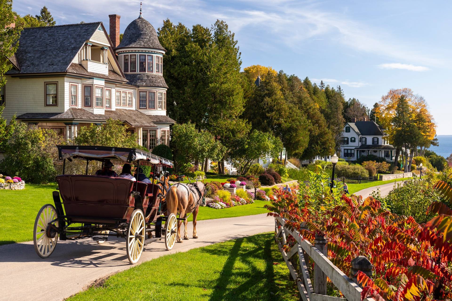 horse carriage on mackinac island