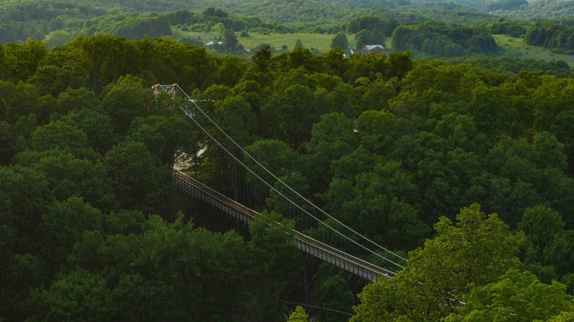 aerial view of skybridge