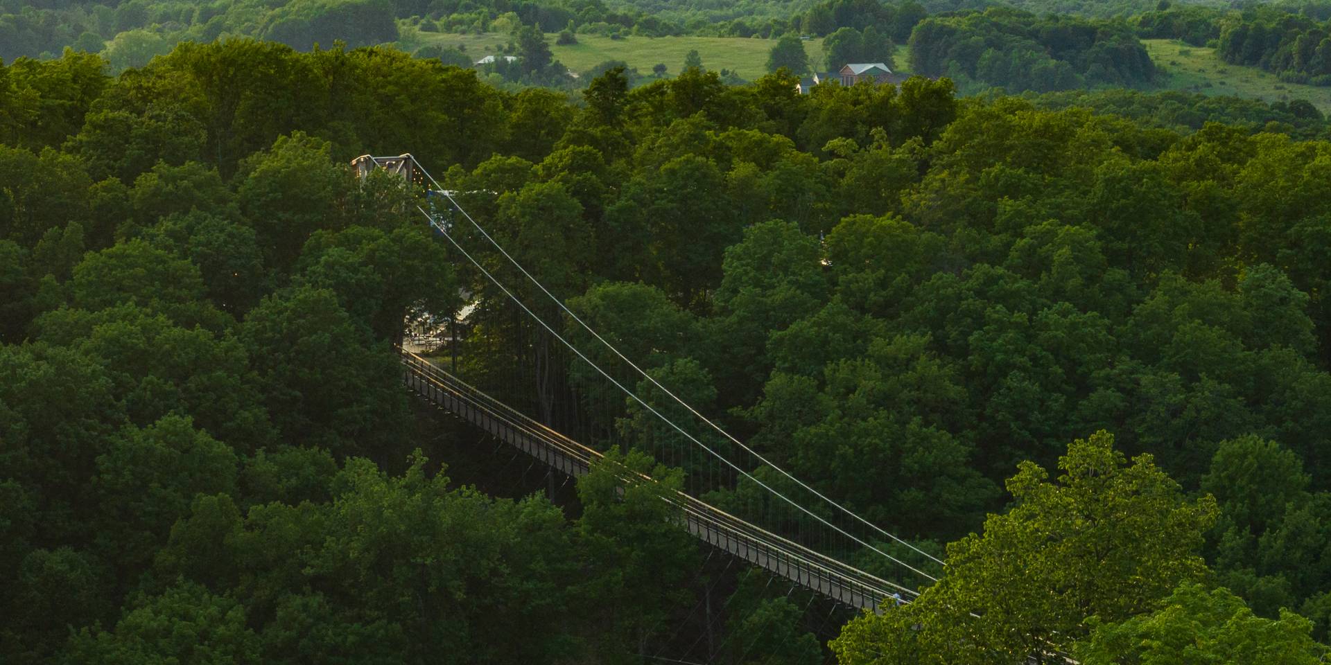 SkyBridge coming out of the trees on Boyne Mountain
