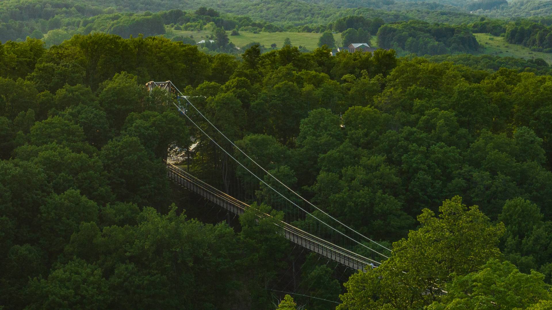 aerial view of skybridge
