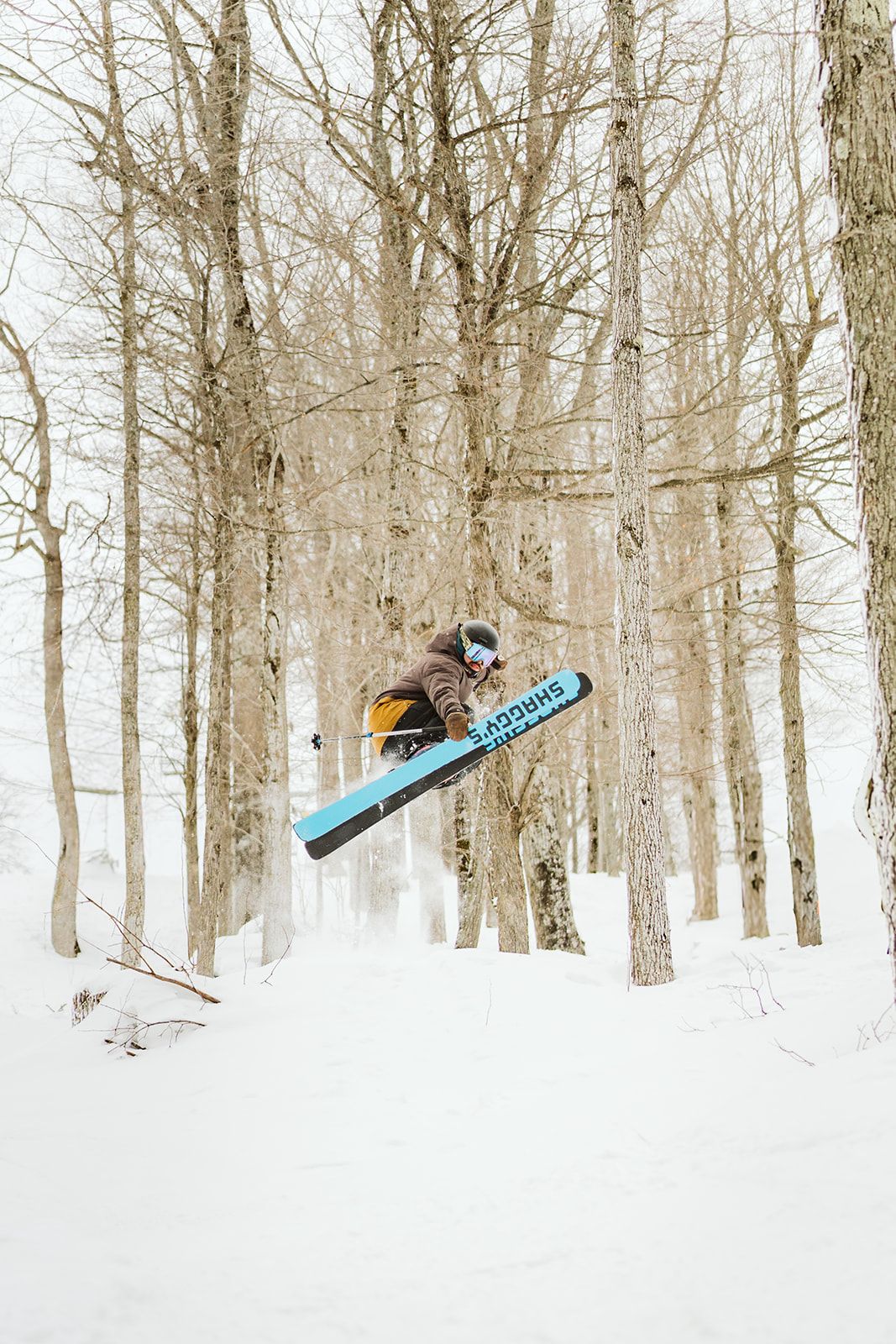 pro skier riding glades