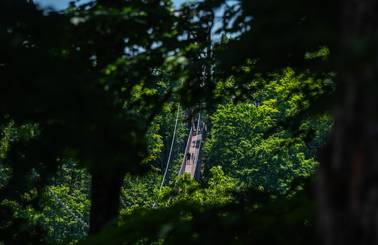 view of skybridge through trees