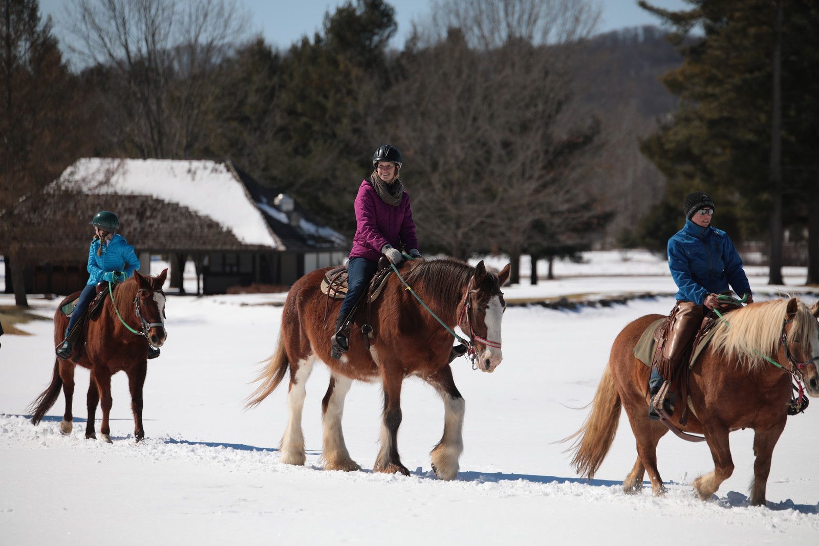 Group horseback trail riding in the winter.