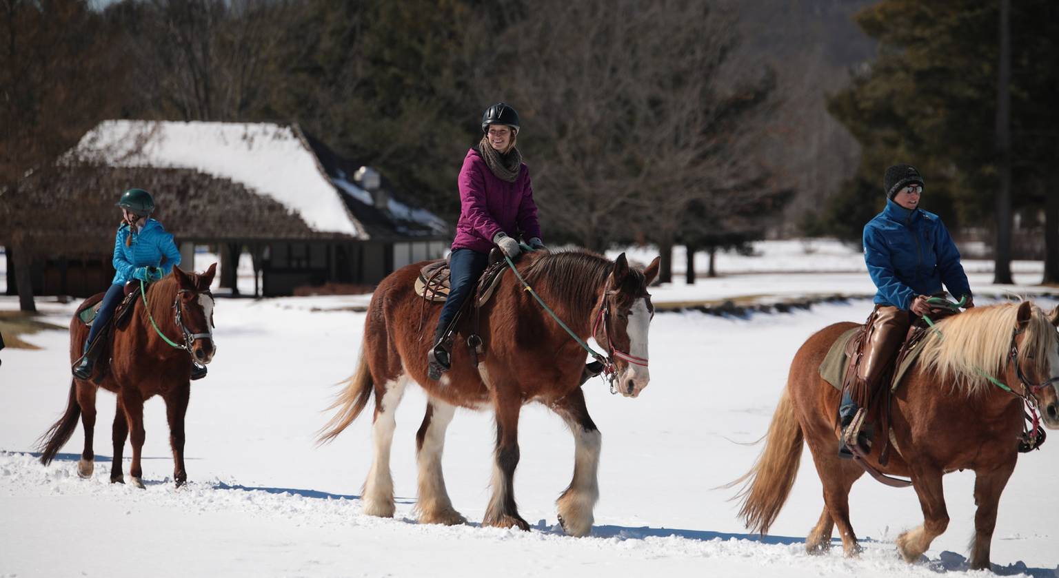 Three people horseback riding in the snow
