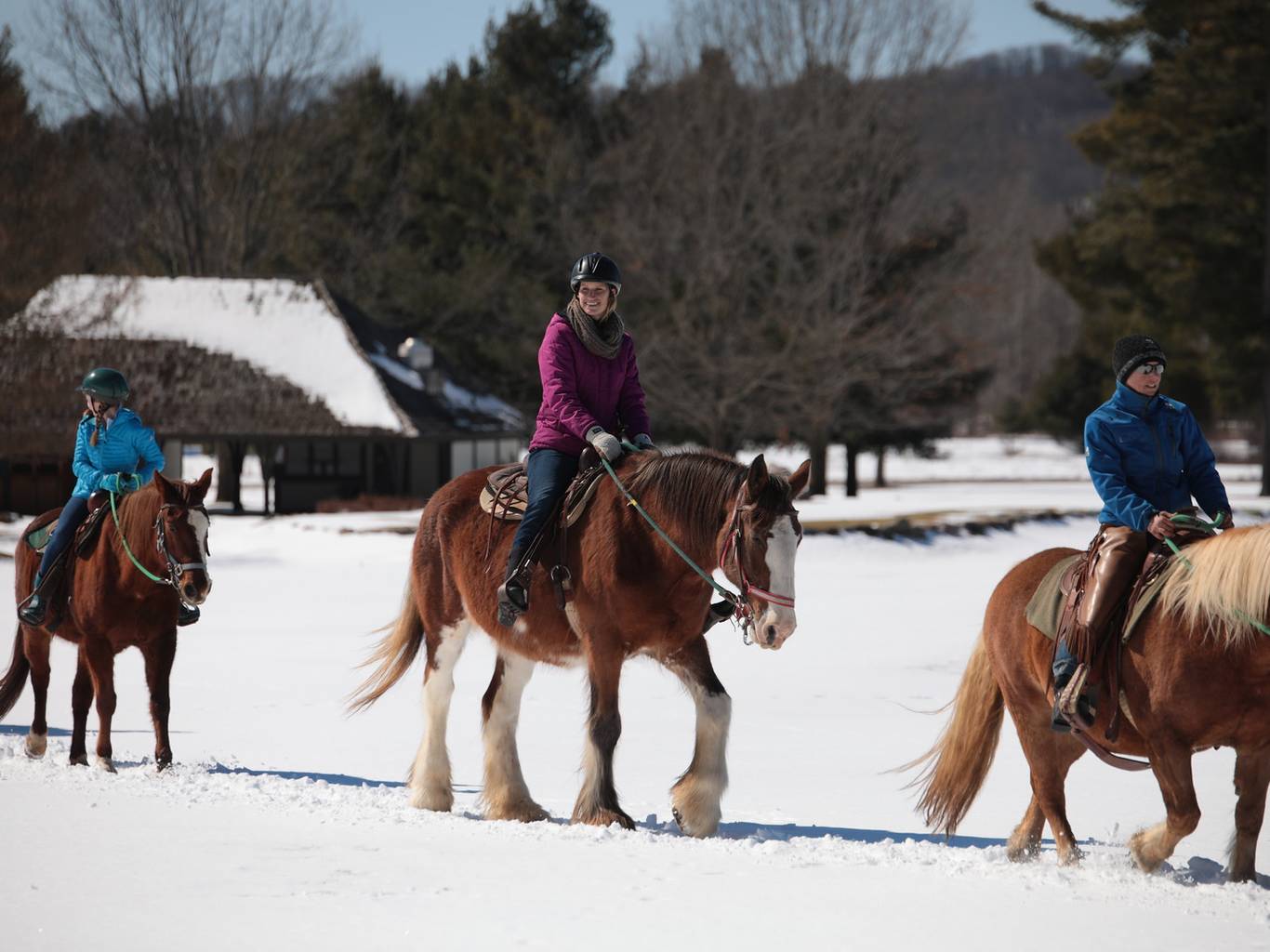 Group horseback trail riding in the winter.