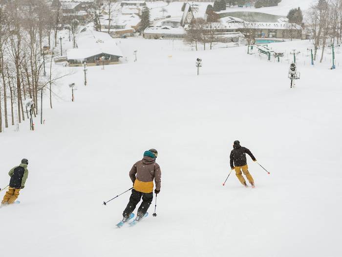 skiers riding through glades