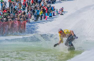bluebird slush cup