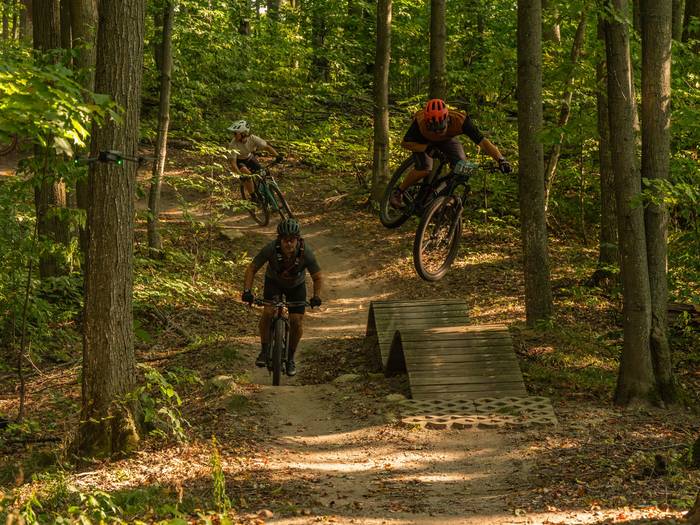 Boyne Forest Trails