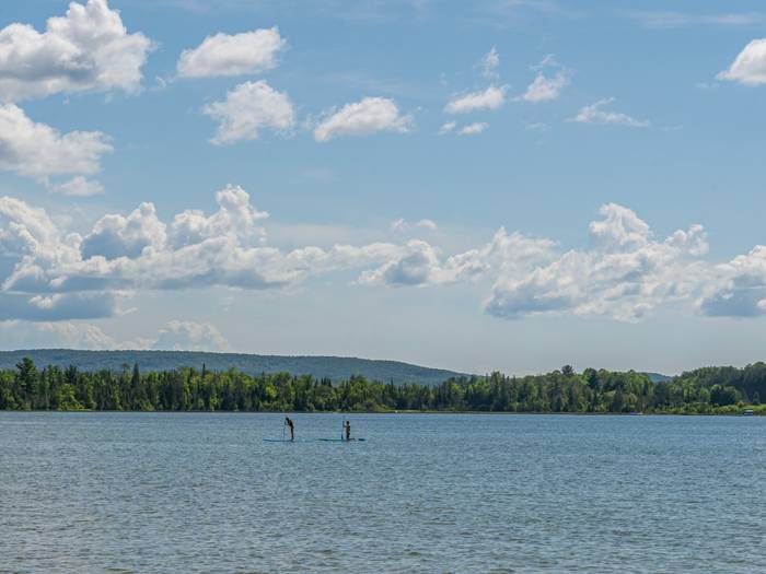 People paddle boarding on a lake in the summer