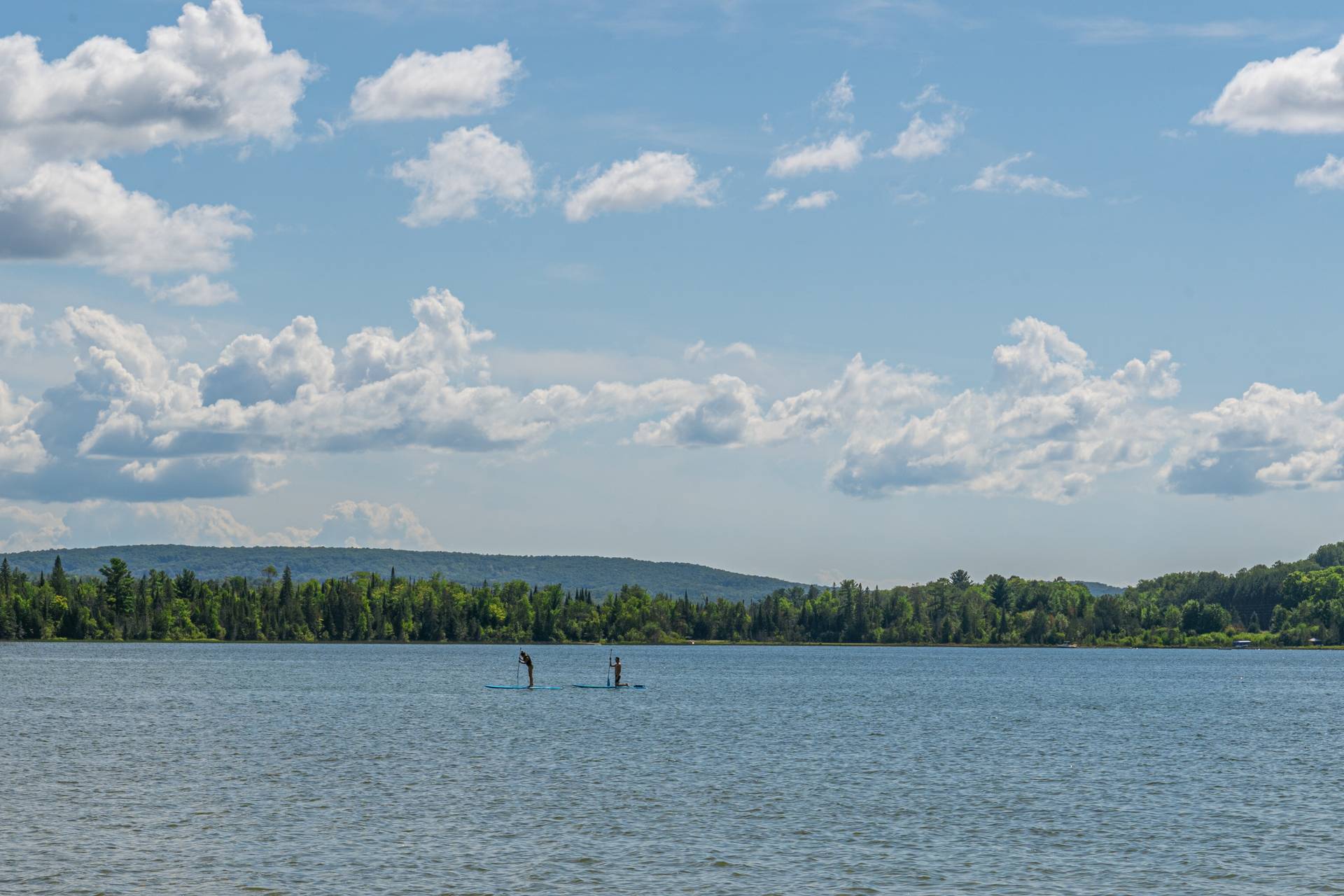 deer lake paddleboarders