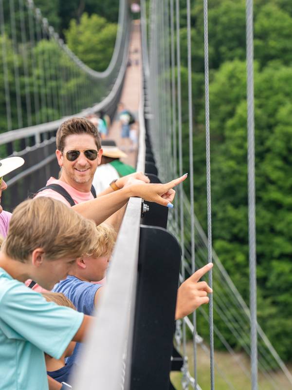 family on skybridge michigan