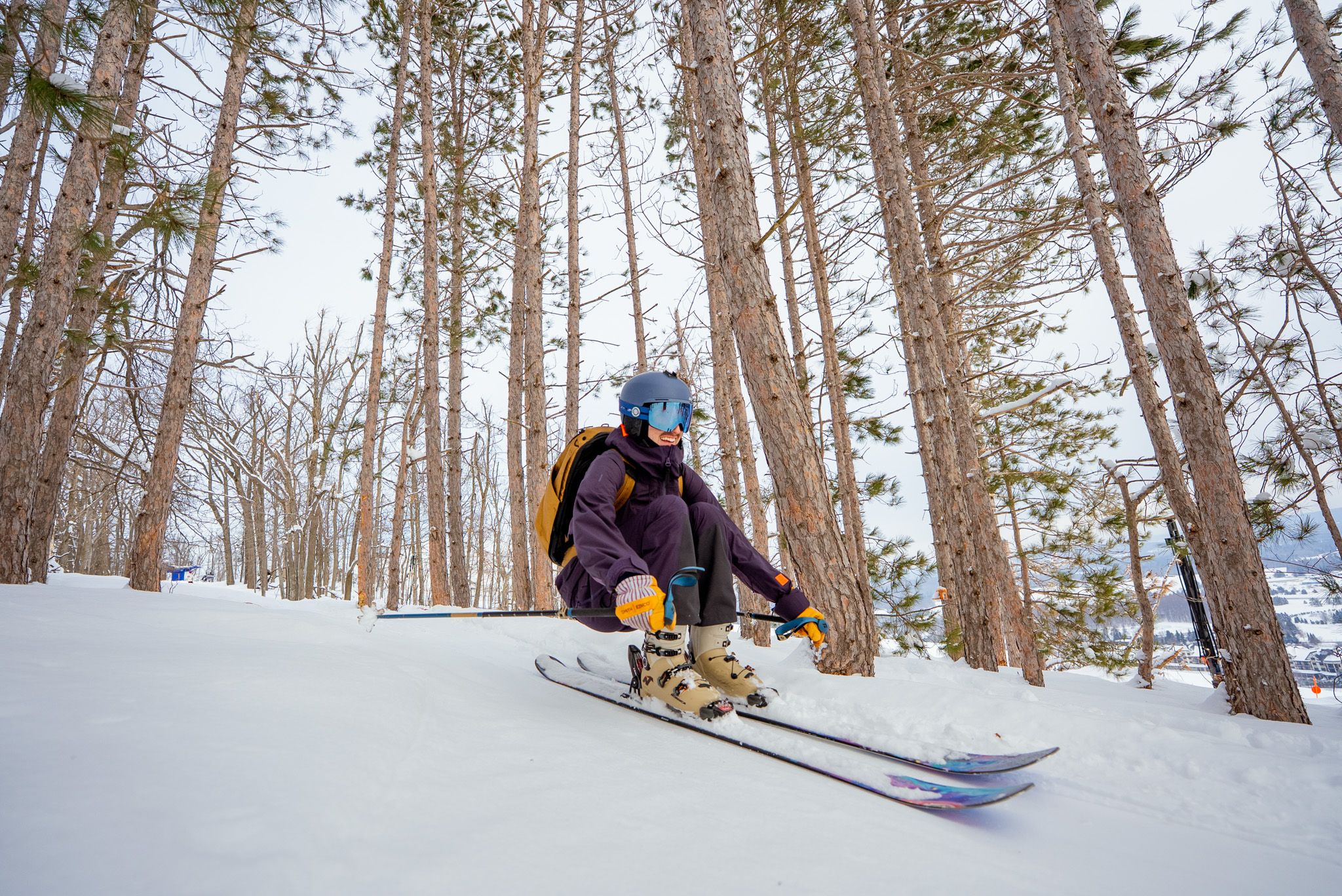 skier dipping through trees