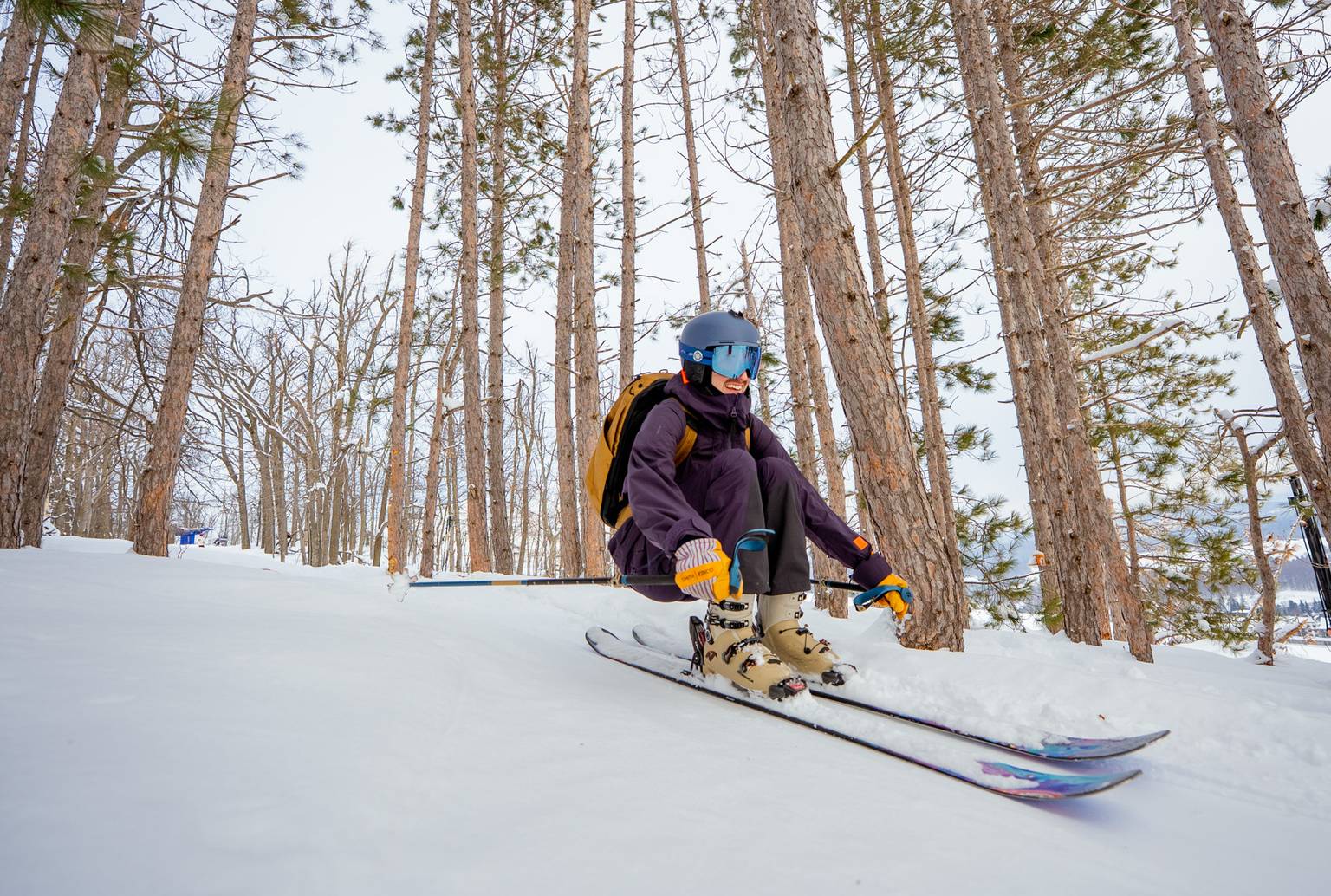 skier dipping through trees