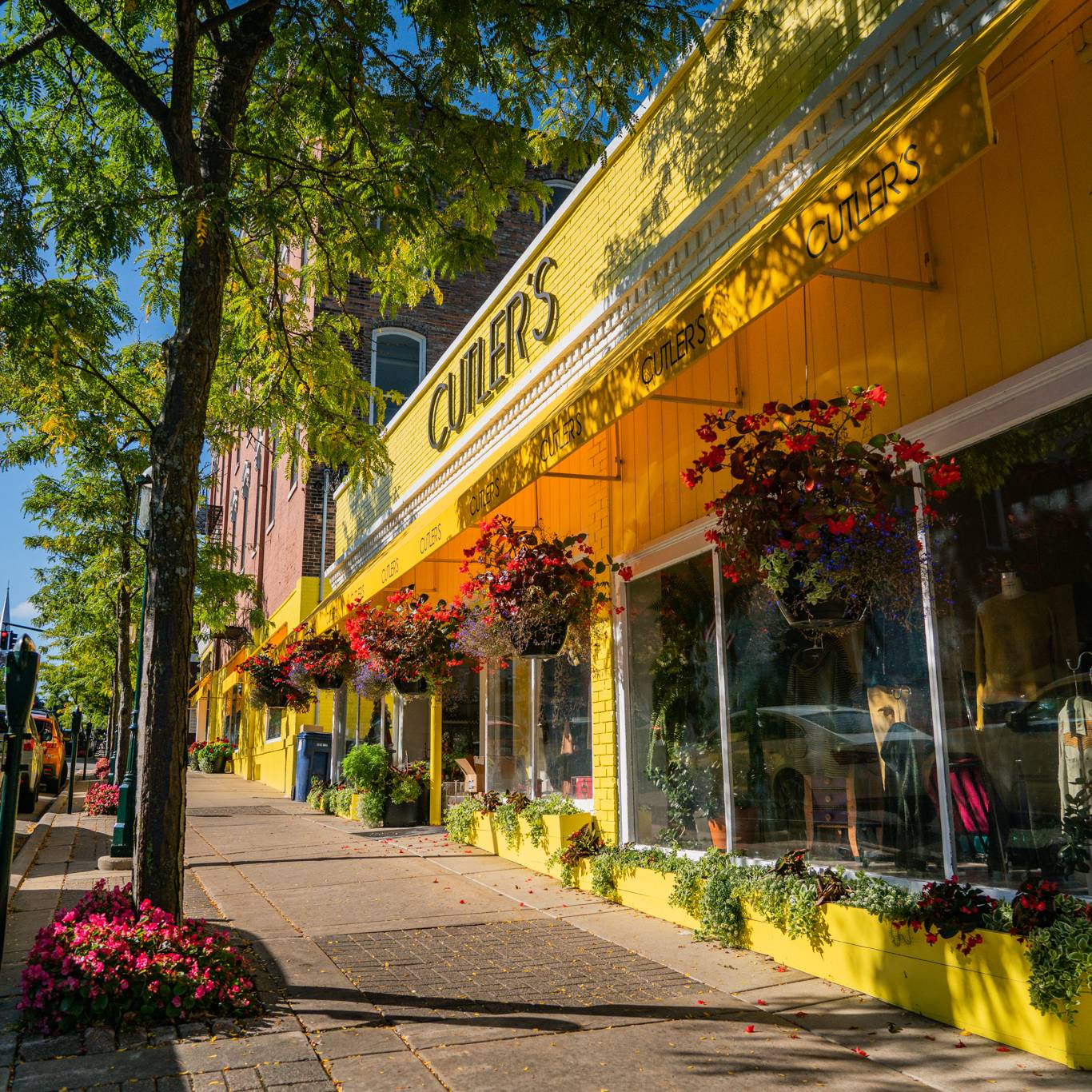 cutlers in downtown petoskey