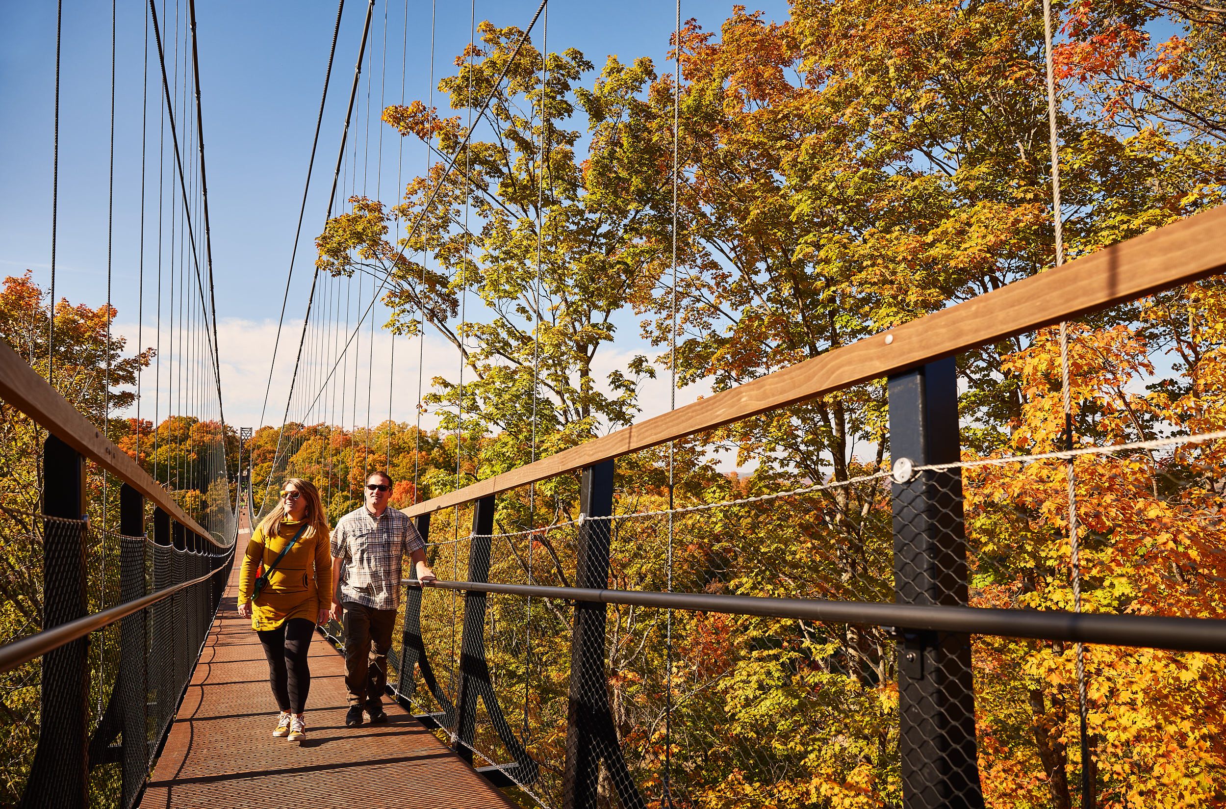 fall skybridge