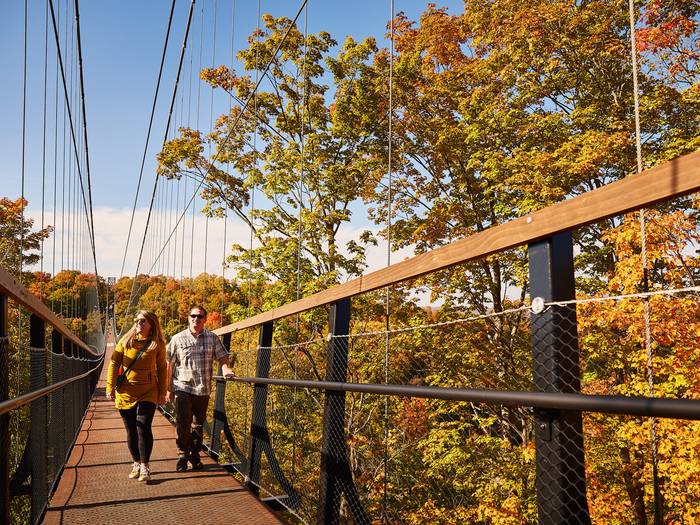 fall skybridge
