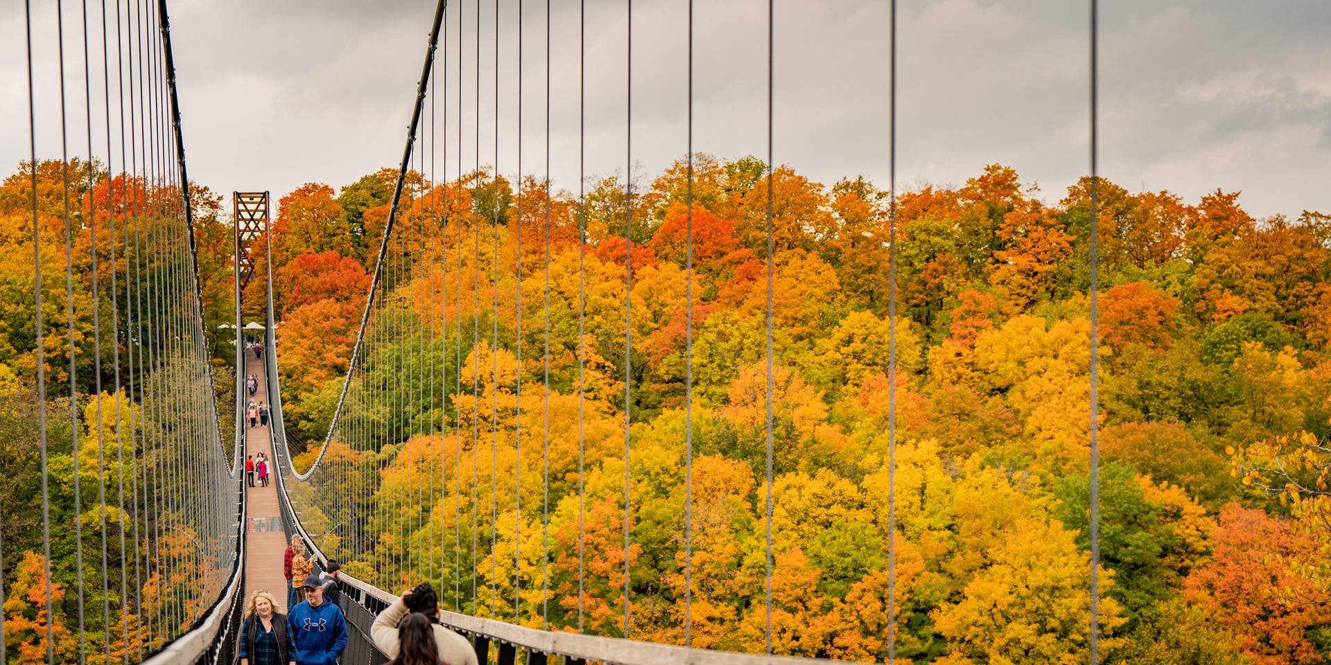 Fall leaves at SkyBridge Michigan