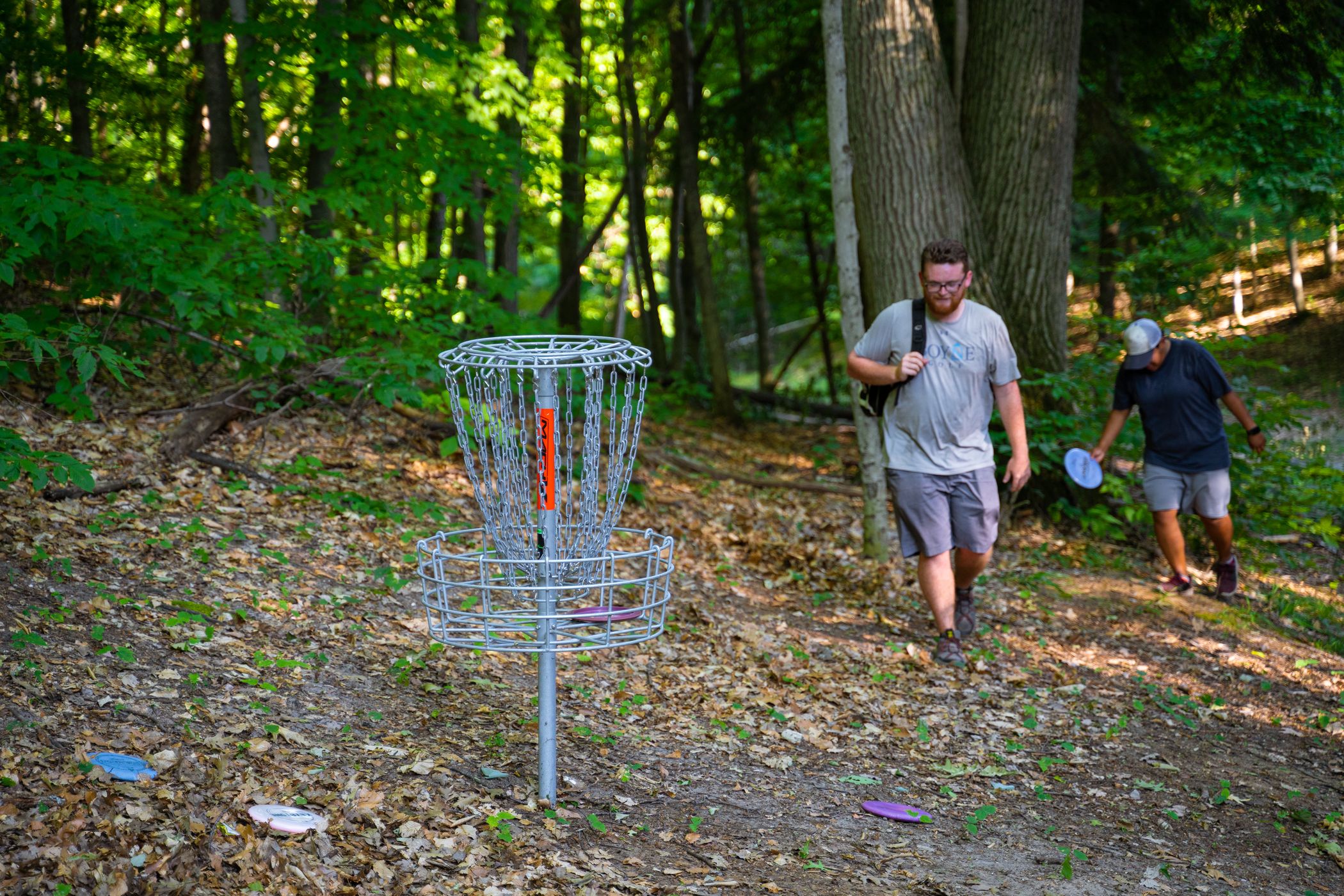 friends playing disc golf